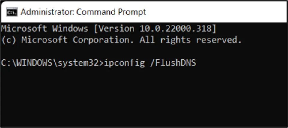 Enter ipconfig/flushDNS