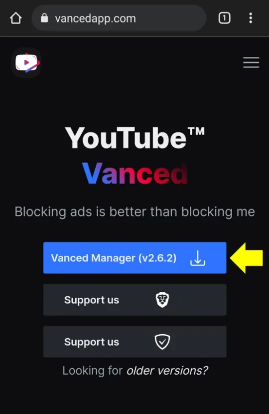 watch Ad-free YouTube