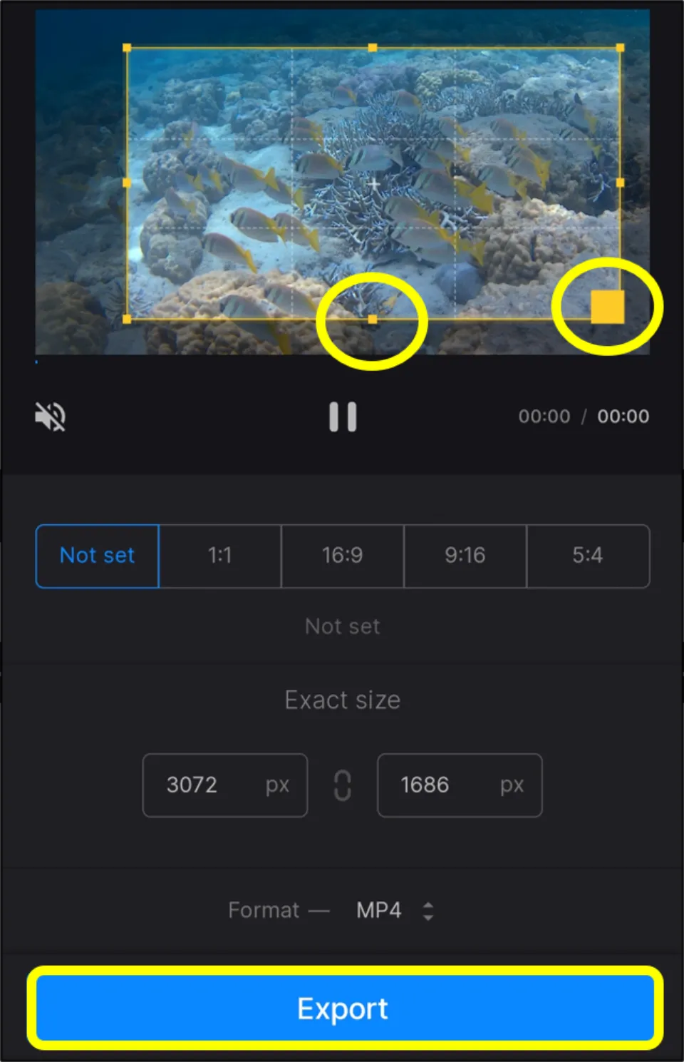 Choose the video aspect ratio and select the video portion you want to crop. Then, hit Export