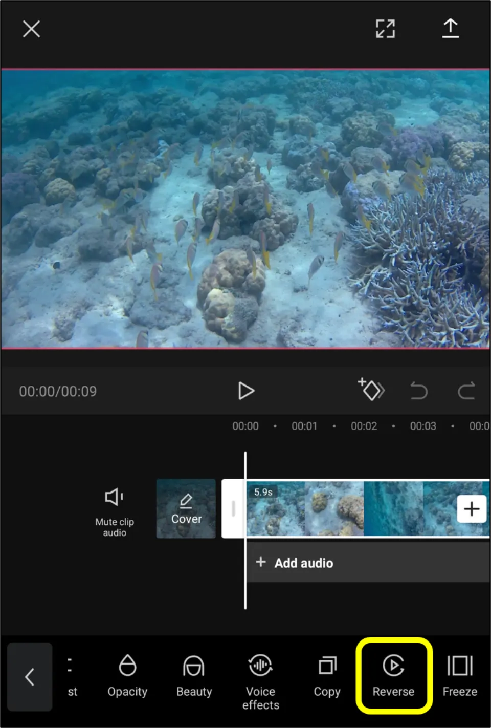 how to reverse a video on android