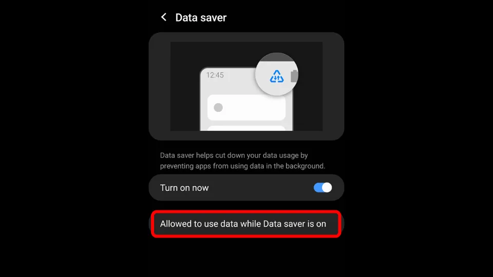 Select Allowed to use data while Data saver is on